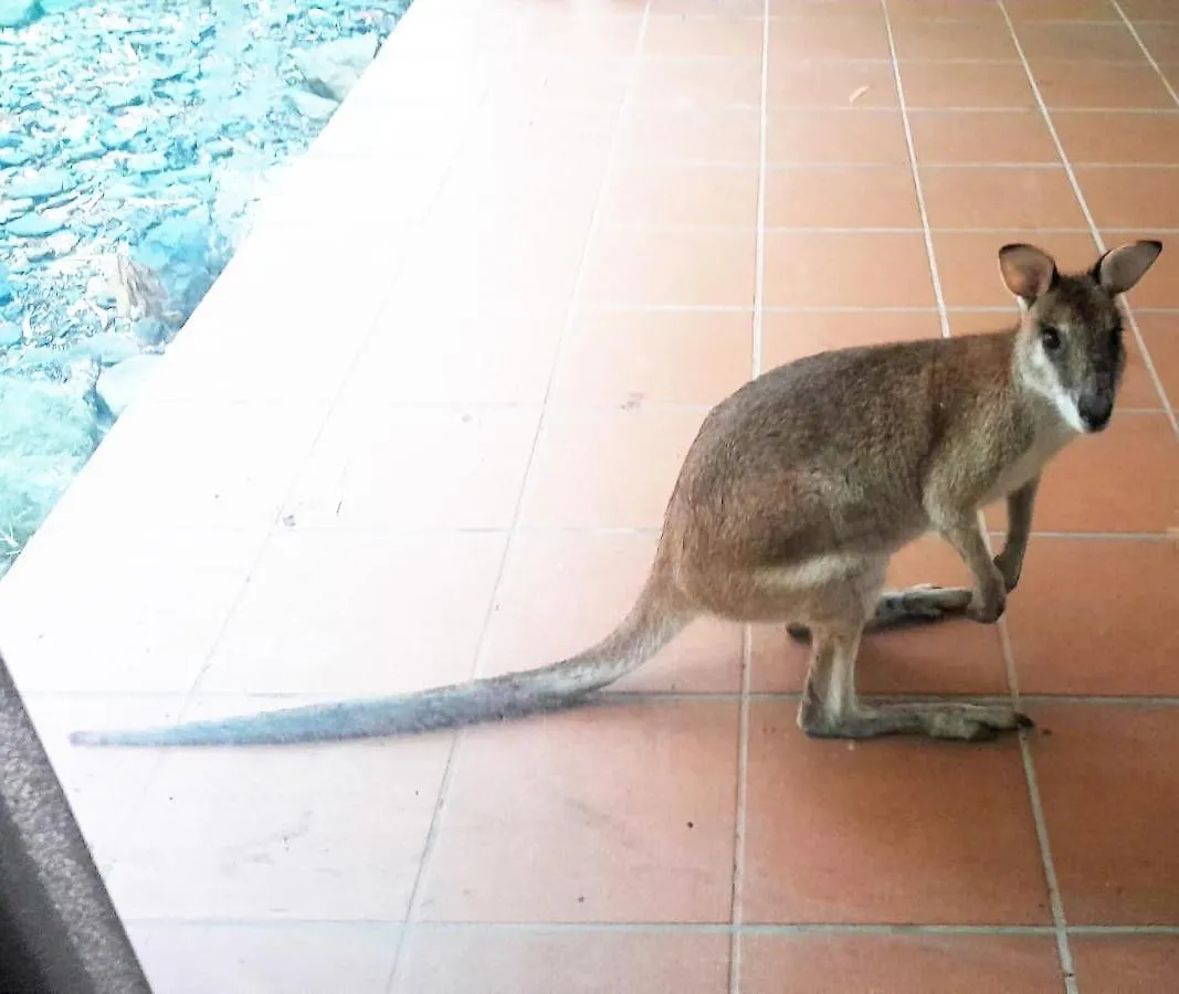 Wallaby Hideaway- Trinity Beach Appartement